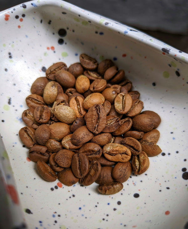 SHILLONG SPICE RUSH - NATURALS