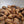 Ratnagiri – Brown Sugar Reserve - Value | Auto Discounted | No Codes